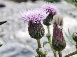 Img.VTax3230.Ex2.Img1