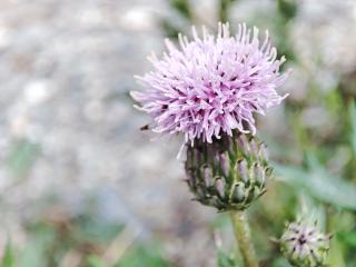 Img.VTax3230.Ex2.Img3