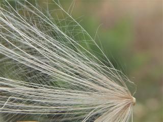 Img.VTax3230.Ex3.Img3