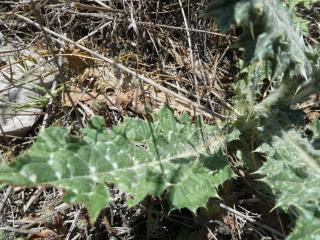 Img.VTax3236.Ex1.Img6
