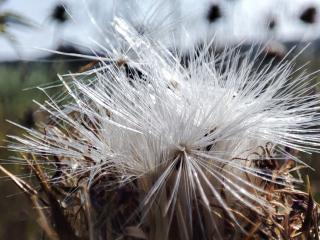 Img.VTax3242.Ex1.Img5