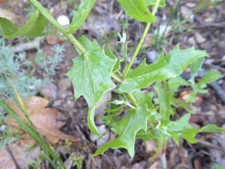 Img.VTax3257.Ex1.Img5