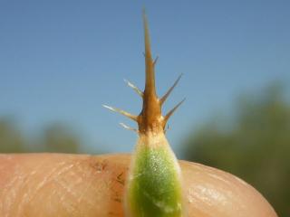 Img.VTax3277.Ex1.Img4