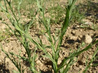 Img.VTax3277.Ex1.Img6