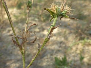 Img.VTax3277.Ex1.Img9