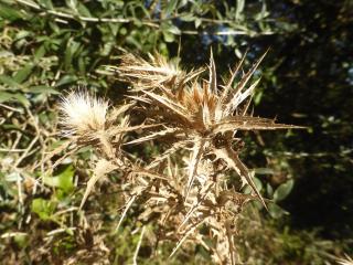 Img.VTax3293.Ex1.Img3