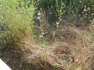 Img.VTax3295.Ex1.Img1