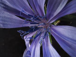 Img.VTax3295.Ex3.Img1