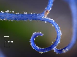 Img.VTax3295.Ex3.Img3
