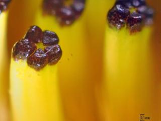 Img.VTax3308.Ex2.Img1
