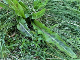 Img.VTax3310.Ex1.Img5