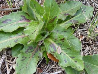 Img.VTax3310.Ex3.Img1