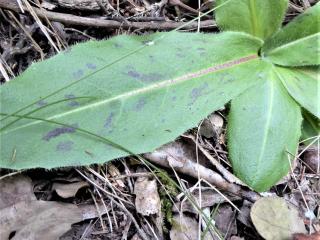 Img.VTax3310.Ex3.Img3
