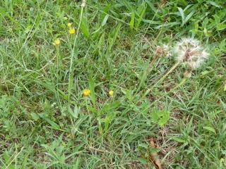 Img.VTax3311.Ex3.Img1