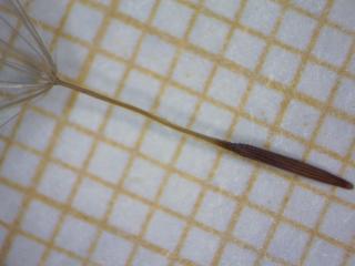 Img.VTax3312.Ex1.Img1