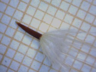 Img.VTax3312.Ex1.Img2