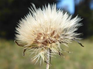 Img.VTax3320.Ex1.Img9