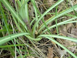 Img.VTax3337.Ex1.Img3