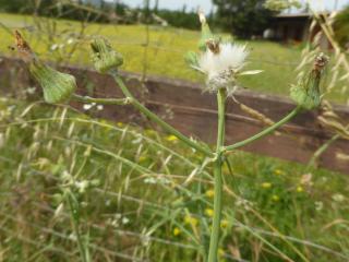 Img.VTax3347.Ex1.Img10