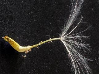 Img.VTax3347.Ex2.Img3