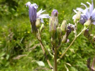 Img.VTax3364.Ex1.Img2