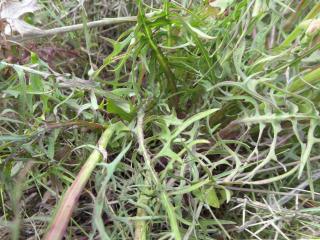 Img.VTax3365.Ex1.Img3