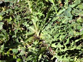 Img.VTax3365.Ex1.Img6