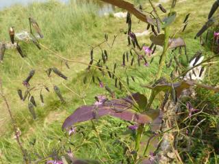 Img.VTax3369.Ex1.Img1