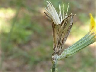 Img.VTax3380.Ex1.Img6