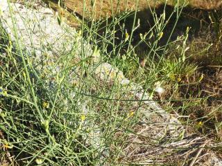 Img.VTax3380.Ex2.Img1