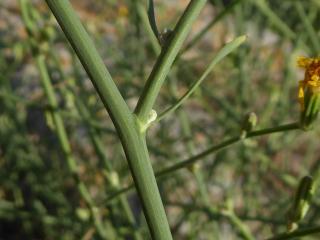 Img.VTax3380.Ex2.Img5