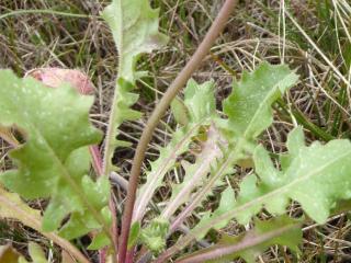 Img.VTax3383.Ex1.Img8
