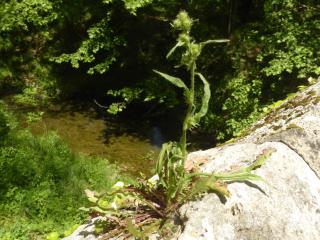 Img.VTax3391.Ex1.Img3