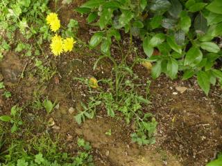 Img.VTax3393.Ex1.Img1