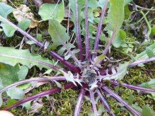 Img.VTax3393.Ex2.Img7