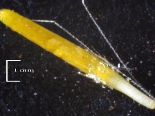 Img.VTax3403.Ex2.Img1