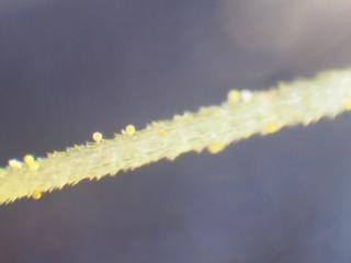 Img.VTax3403.Ex2.Img3
