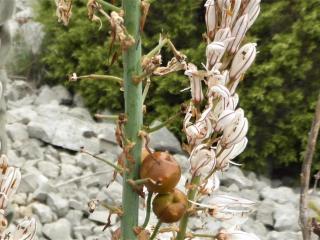 Img.VTax3515.Ex2.Img2