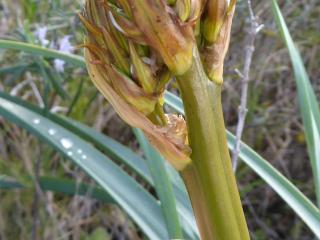 Img.VTax3515.Ex2.Img6
