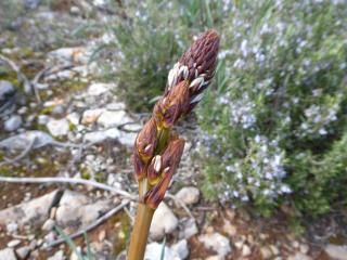 Img.VTax3515.Ex2.Img7