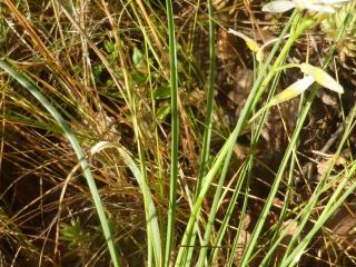 Img.VTax3516.Ex2.Img1