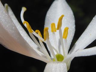 Img.VTax3516.Ex2.Img5