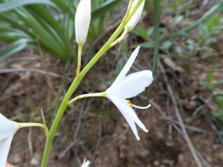 Img.VTax3516.Ex2.Img6