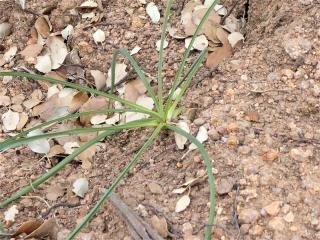 Img.VTax3516.Ex2.Img7