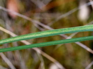 Img.VTax3518.Ex1.Img5