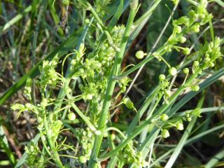 Img.VTax3596.Ex1.Img6
