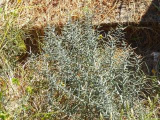 Img.VTax3597.Ex1.Img5
