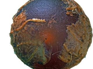 Img.VTax3599.Ex4.Img1