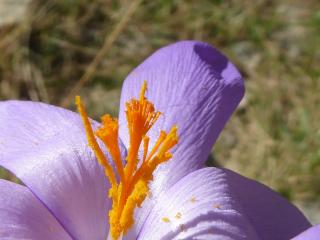 Img.VTax3633.Ex1.Img3