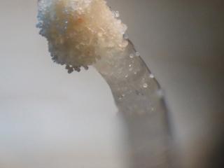 Img.VTax3646.Ex2.Img1
